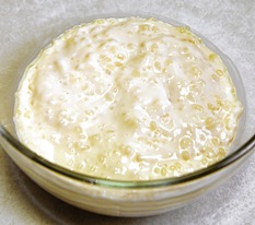 tapioca pudding